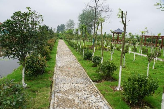 福建省生態(tài)環(huán)境廳、農(nóng)業(yè)農(nóng)村廳關(guān)于進一步加強農(nóng)村生活污水治理工作的通知！